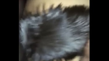 bbw fox tail