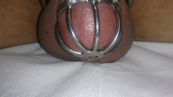 cum in chastity device