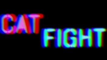 cat fight fists