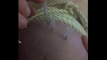 needles in milking tits