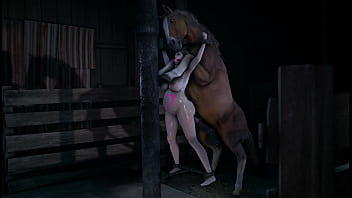 pregnant horse