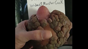 widest cock