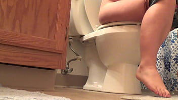 toilet poop and fart