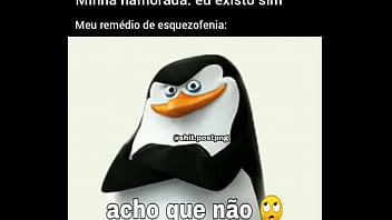 pinguim cavalinho foda