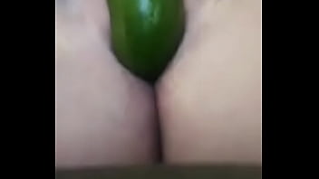 australian cucumber