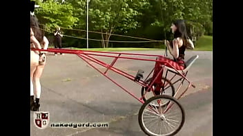 pony play bondage