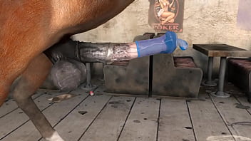 een horse cum