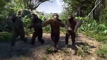 monkey dance