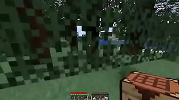 lets play minecraft