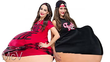 the bella twins