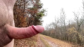 public nude erect penis