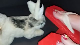 bunny crush videos