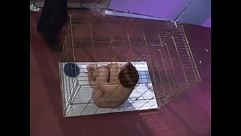 slut in a cage