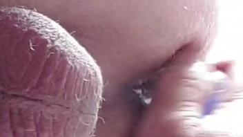 testicles insertion