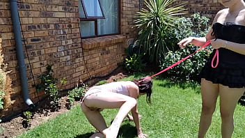 piss slave leash