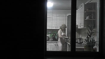 cat out window