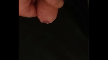 cock sperm gland