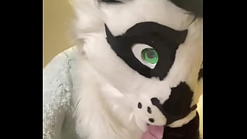 fursuit dildo