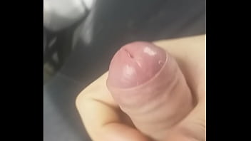 flash bus cum