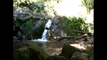 falls waterfall