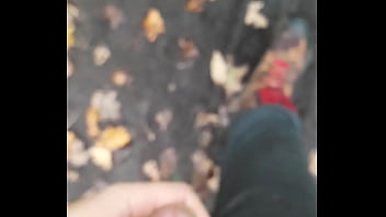 public flashing woods