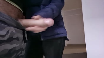 shocking video dog