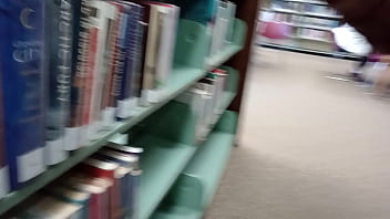 dick flashing library