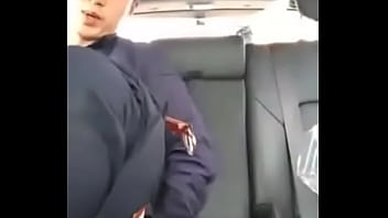 korean car hamster