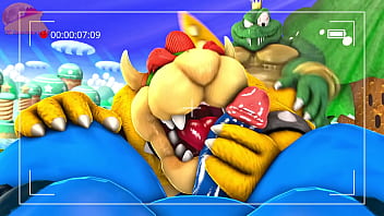 gay bowser