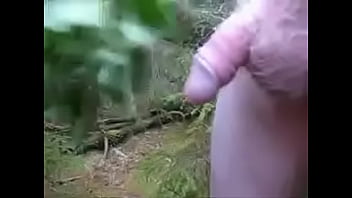 ants nettle