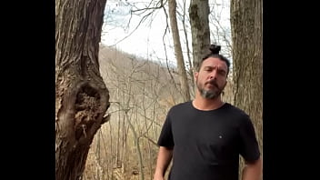 caught in the wood