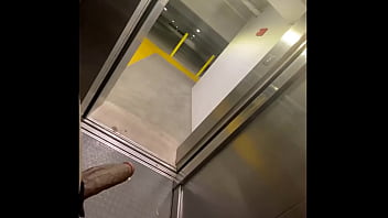 elevator solo