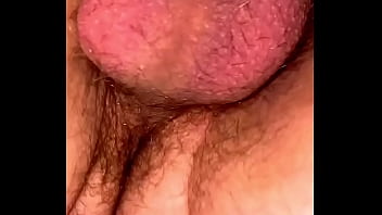 creampies one pussy cocks