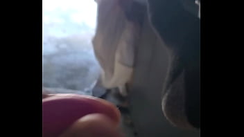 solo male cock outdoor