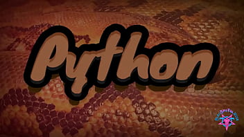 python ass