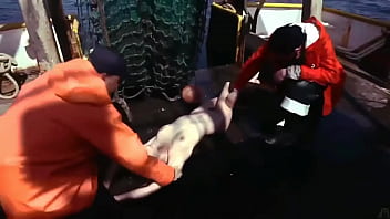 deadliest catch mi i