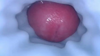 cum creampie inside mouth