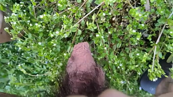 dick masturbation pissing outdoors