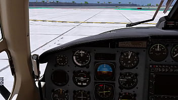 flight simulator