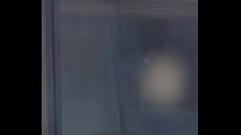 cat sex window