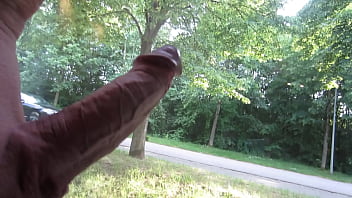 dick flash porn
