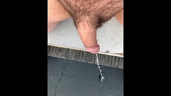 cock pigs diarrhea