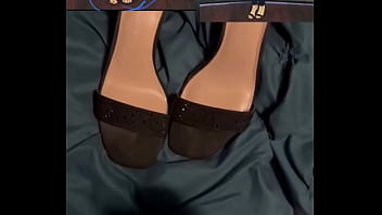 rocco perv